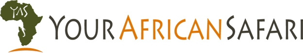 YourAfrican Safari image