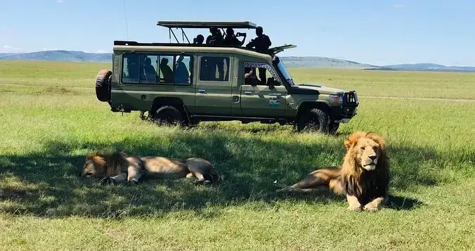 A family having a game drive at Masai Mara National Reserve