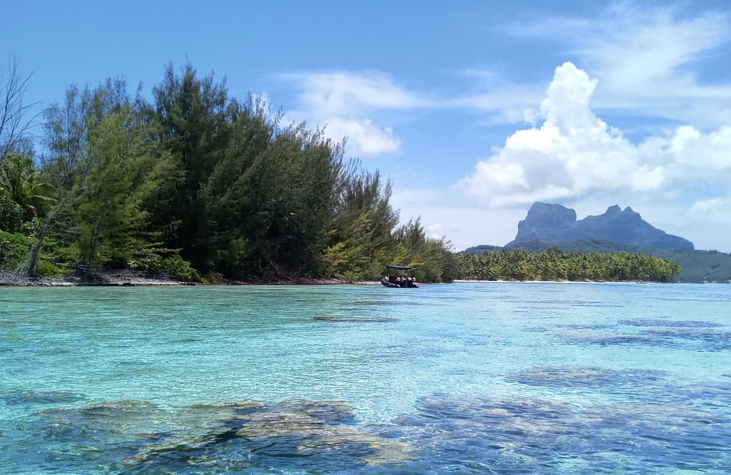 Coral Gardens (Malindi Marine Park)