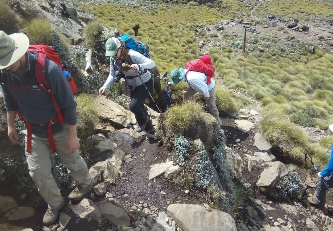 Group of hikers hiking mount kenya with a guide