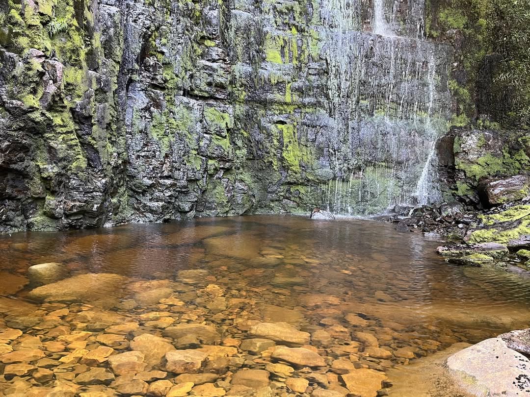 Adamsons waterfalls near Kora National Park