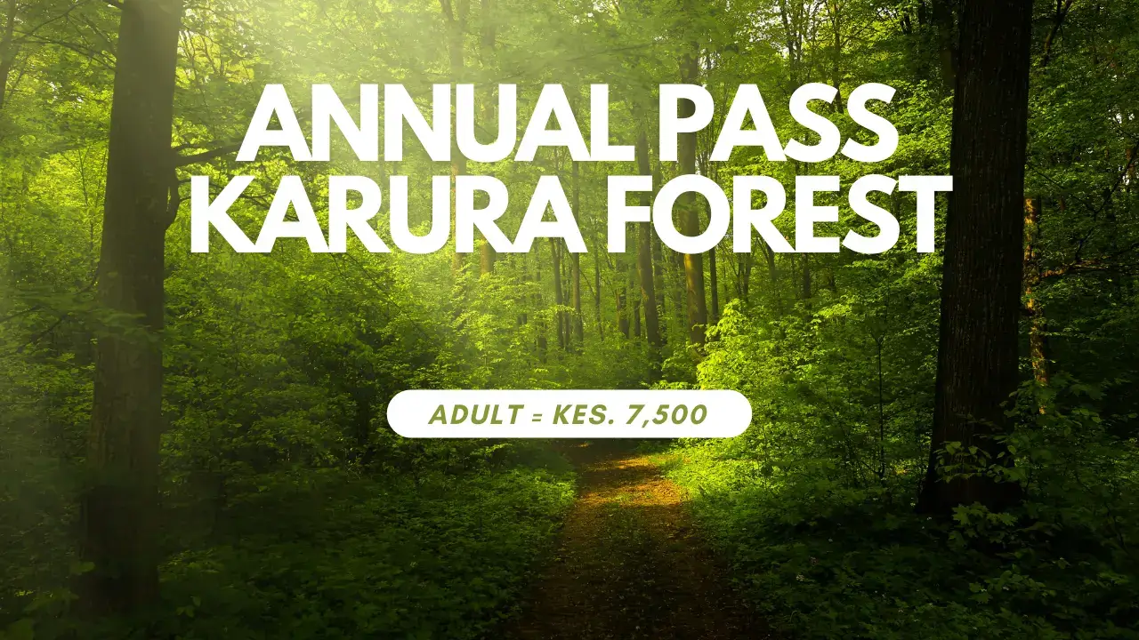 Annual entry free for Karura Forest in Nairobi Kenya