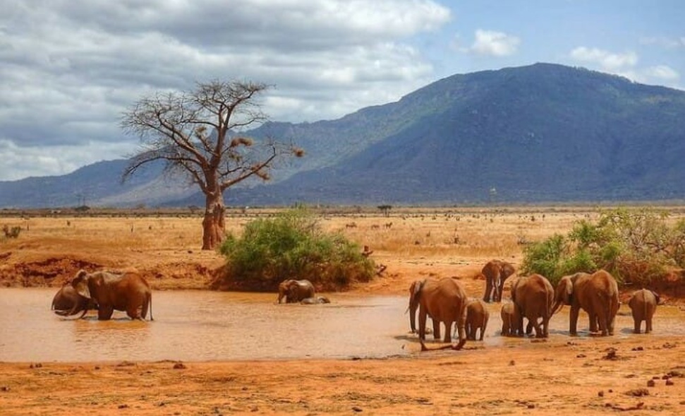 aruba dam in tsavo east national park