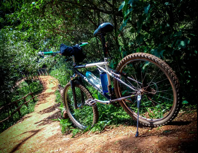 Bike riding at Karura Forest in Nairobi