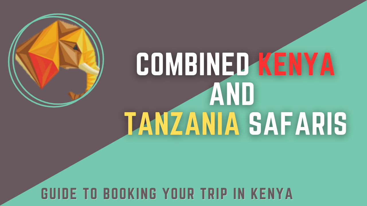 combined kenya and tanzania safari