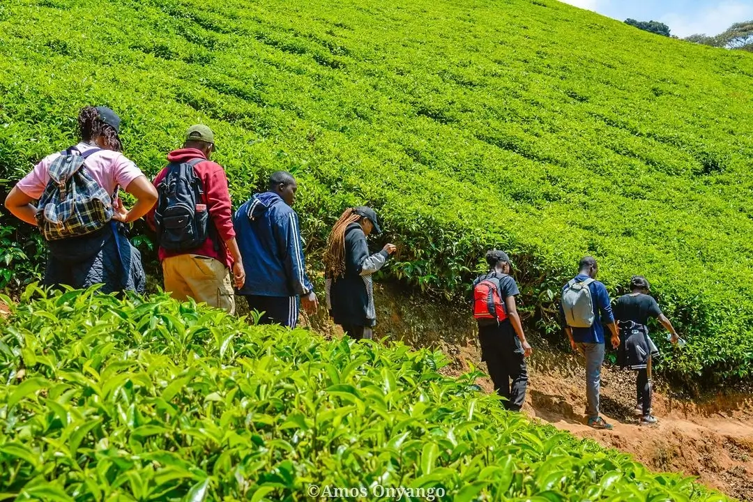 Hiking at burudani adventure park. Photography: Instagram @mambahikers