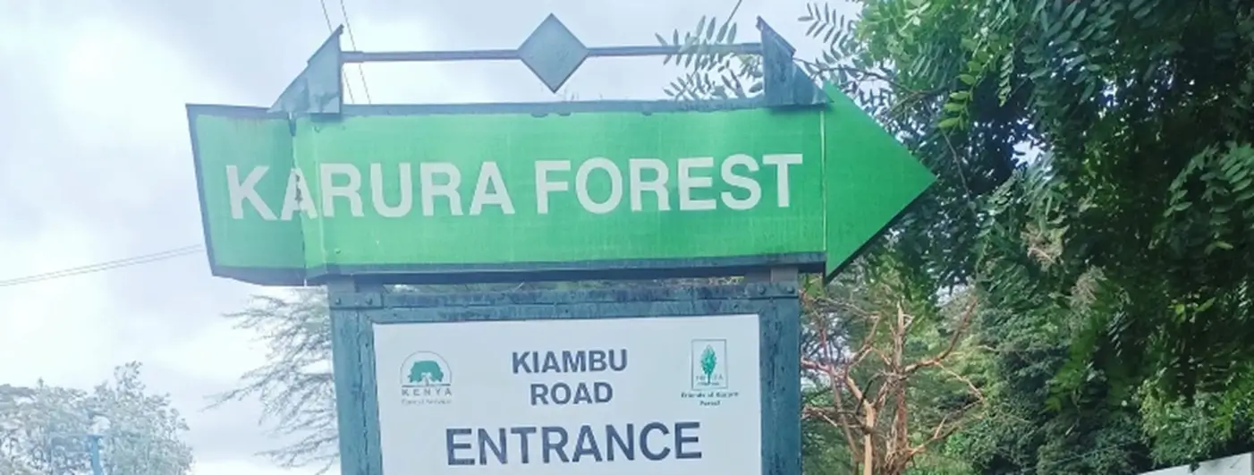 Karura Forest entrance at Gate C along Kiambu Road