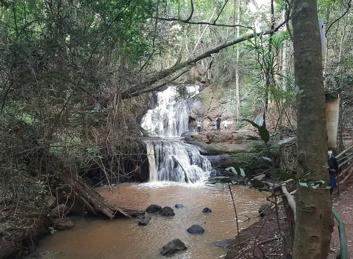 Karura forest waterfall