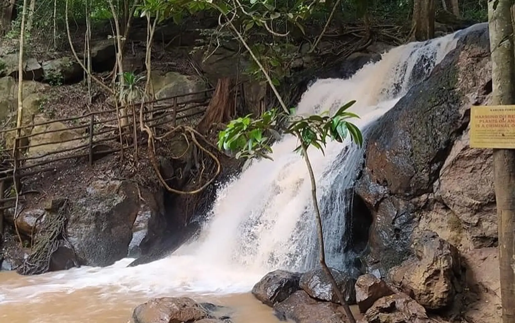 Karura forest waterafalls during a visit at the forest in Nairobi