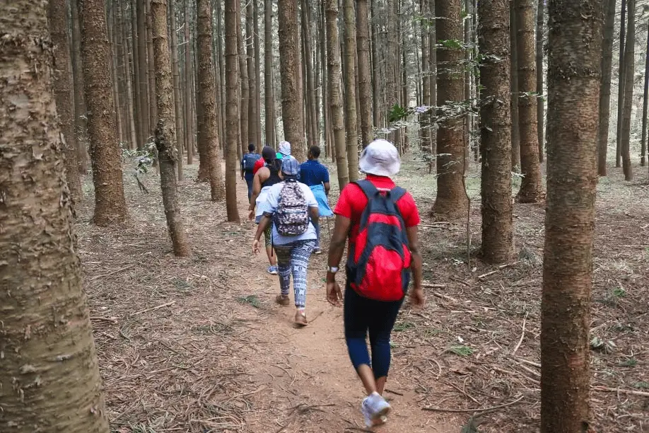 Visitors having a nature walk at Karura Forest