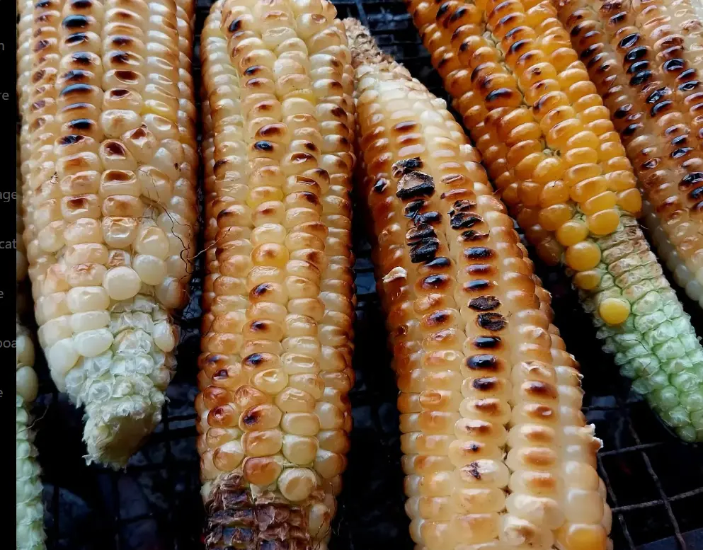 Classic Nairobi Street Food Tour