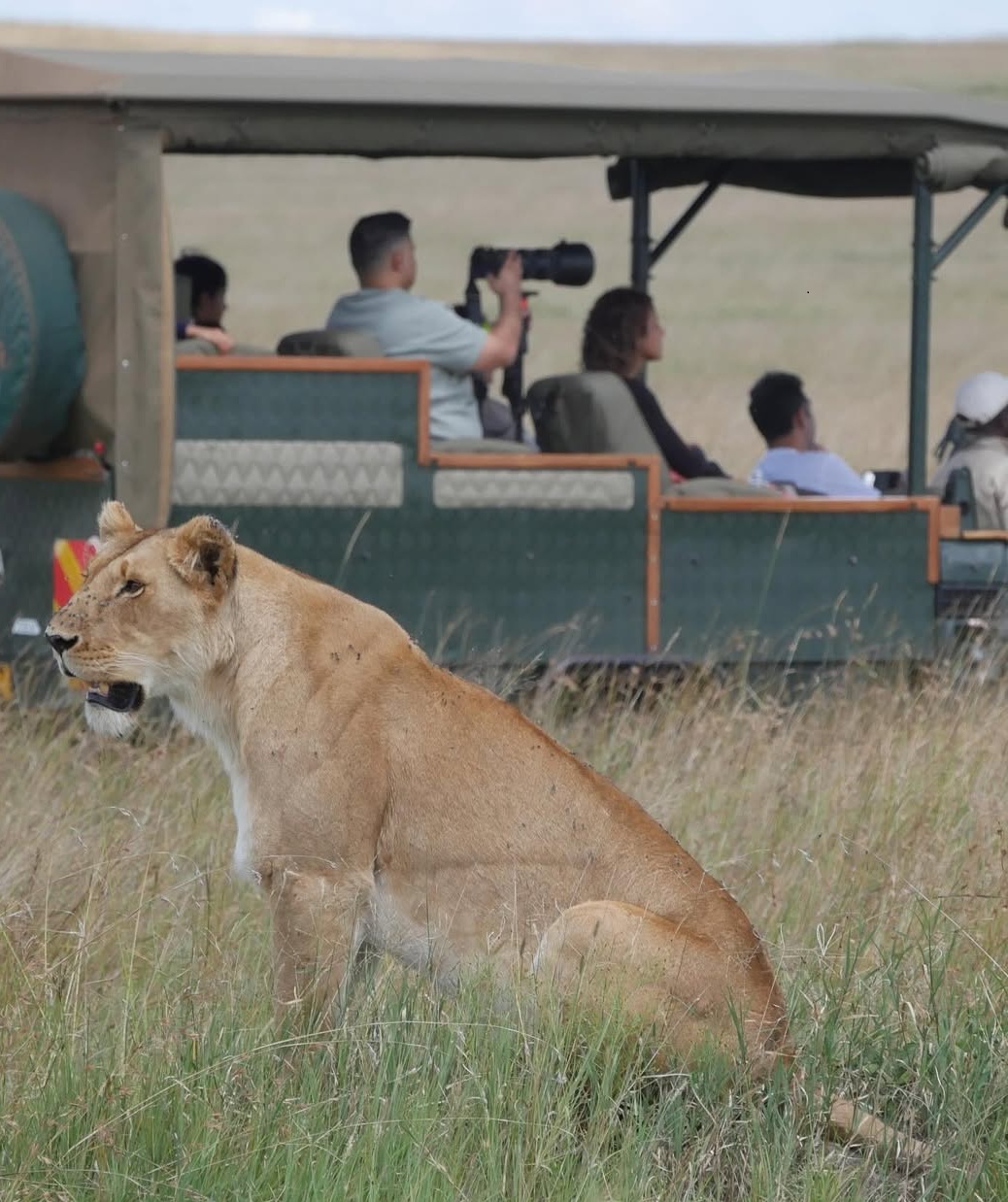 game drive with tourists taking photos upclose with lion