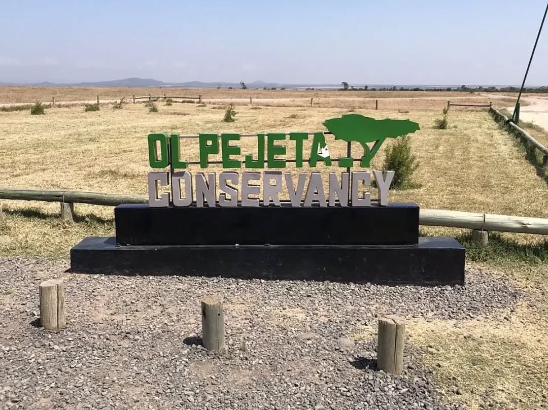 Endangered Species Boma Ol Pejeta