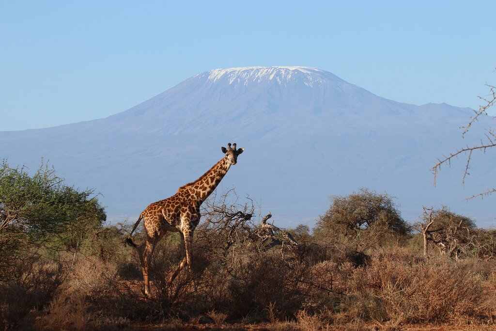 safari game drive in Kenya