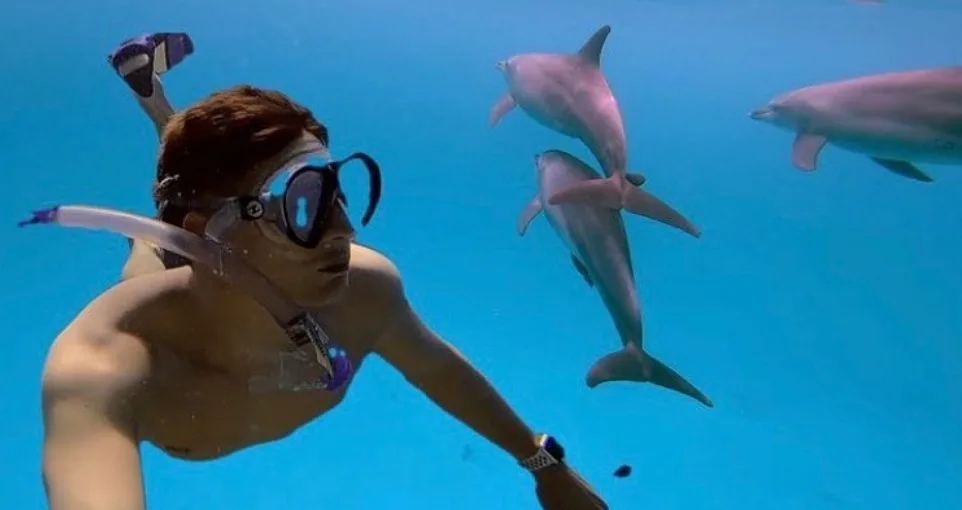 Half Day Snorkeling and Dolphins Tour