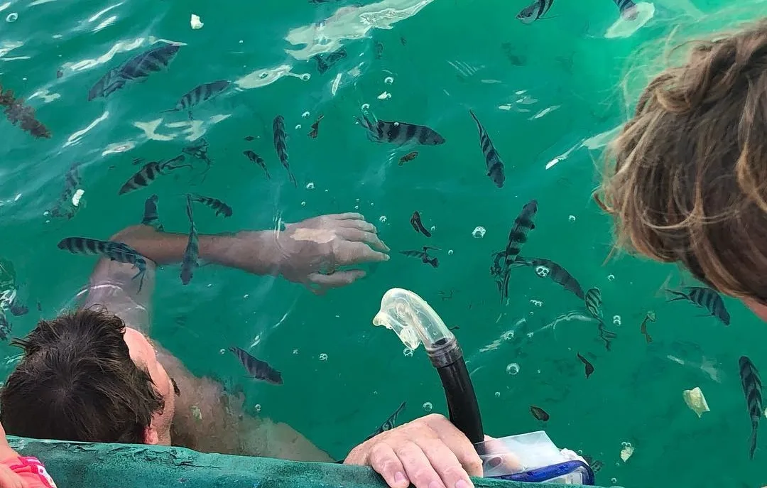 Full Day Watamu with Dolphin Watching, Snorkeling, Sea Food Lunch photo