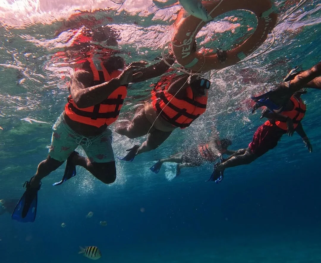 swimming with dolphins at watamu park