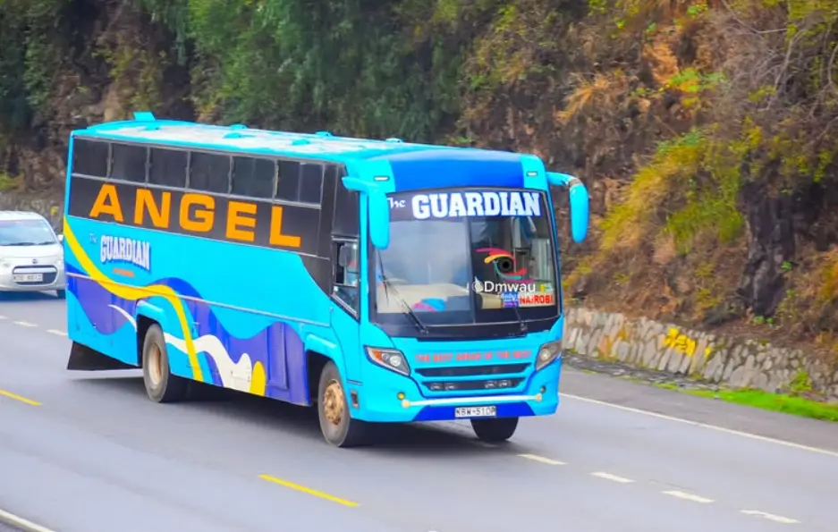 The Guardian Angel Coach