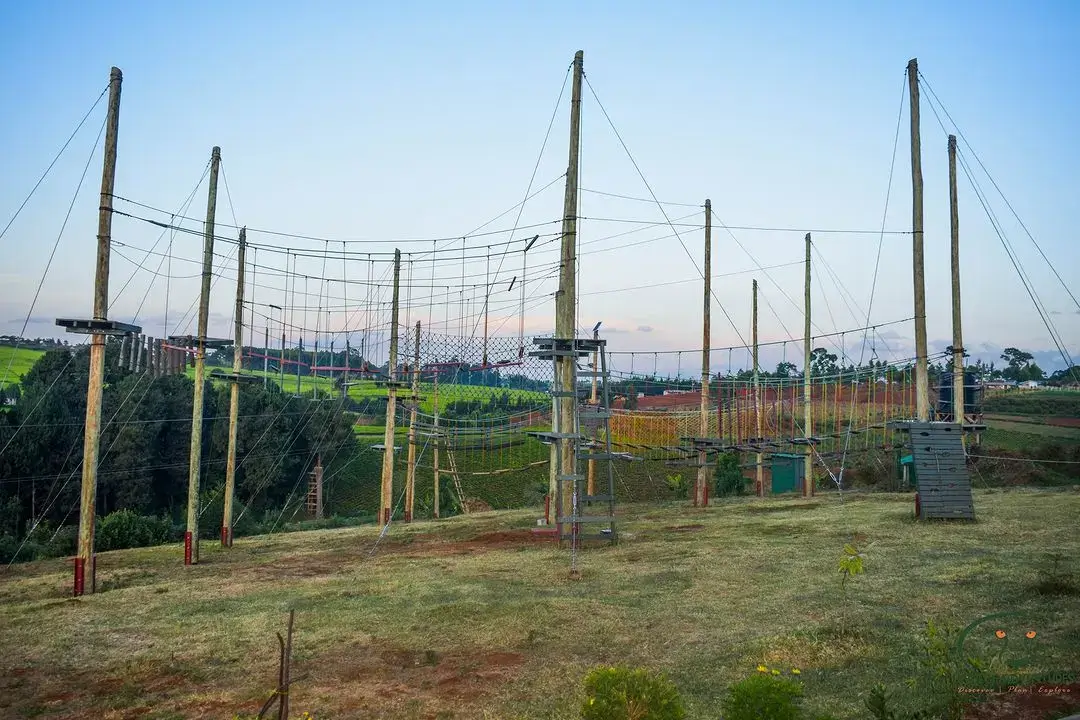 Three levels of high rope courses at Burudani Adventure Park. Photography: Instagram @divulge_adventures