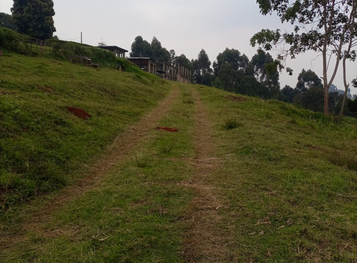 walk to the parking in waterfalls inn tigoni