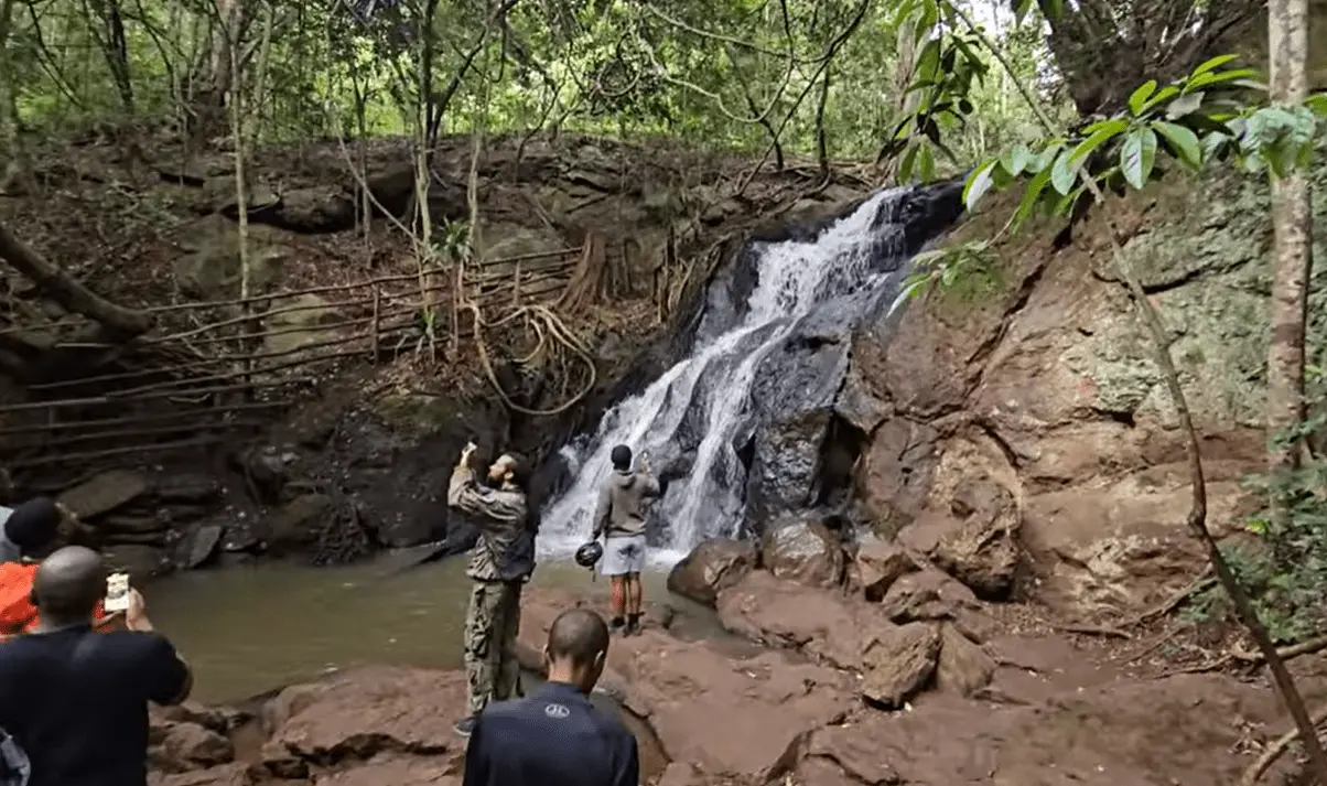 1 Day Tour at Karura Forest from Nairobi