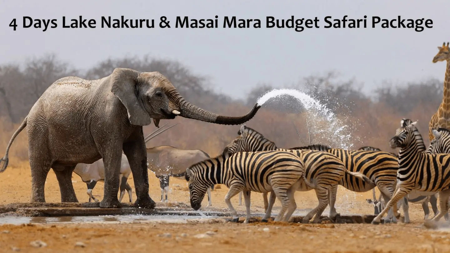 4 Days Lake Nakuru & Masai Mara Budget Safari Package