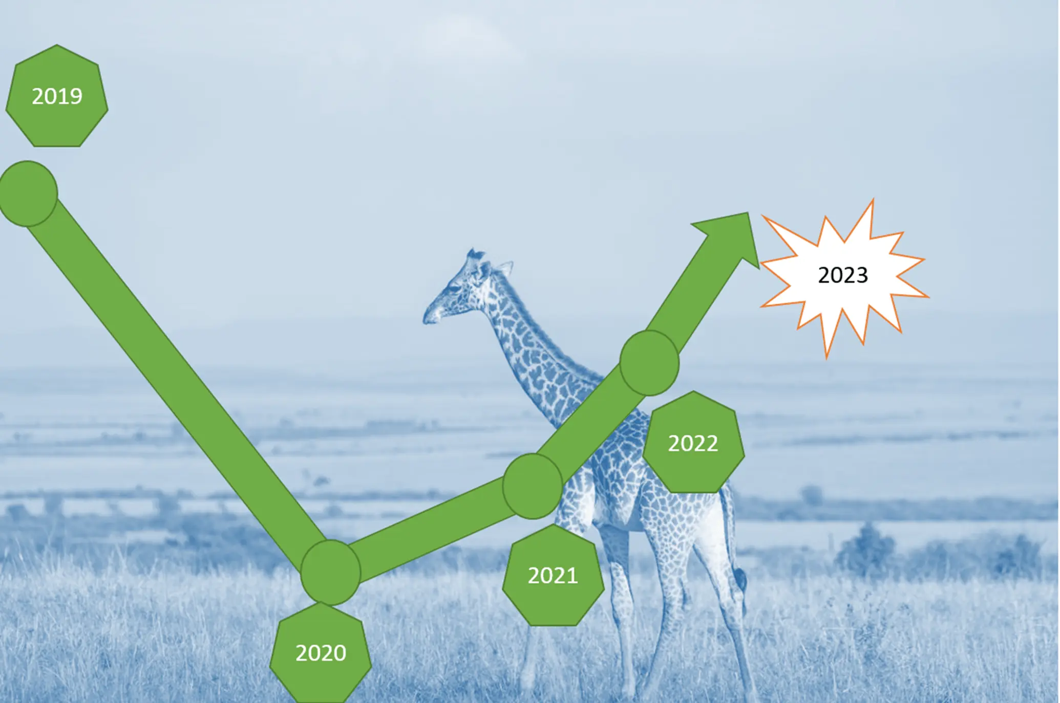 kenya tourism performance bounces up in 2023