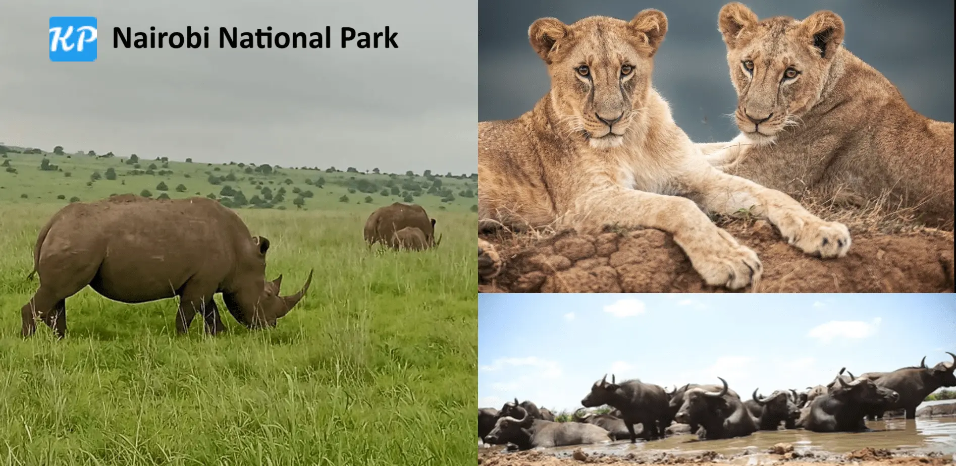 Nairobi National Park destination image