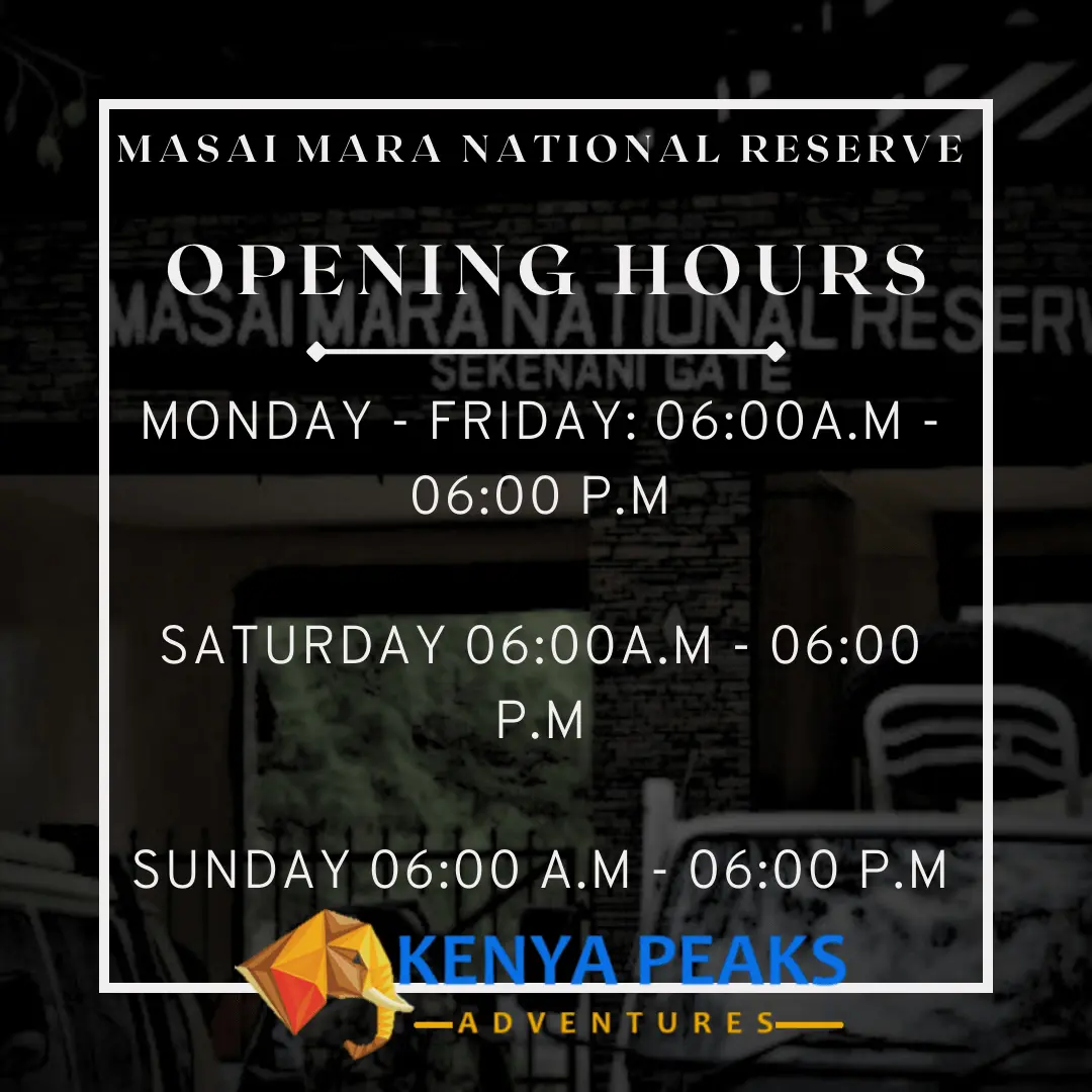 opening and closing hours of masai mara national reserve