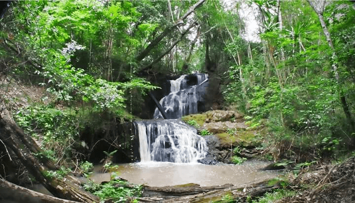 karura forest waterfall